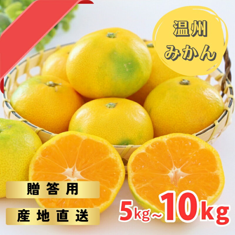 【ふるさと納税】 【先行予約】ゆら早生みかん 贈答用 秀品 5kgまたは10kg（2S～2L）【2025年10月上旬から10月下旬までに順次発送】 / みかん 蜜柑 柑橘 果物 フルーツ 早生 秀品 贈答