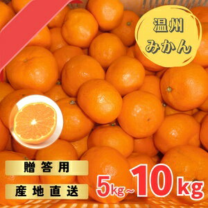 [先行予約]宮川早生みかん 贈答用 秀品 5kgまたは10kg(2S〜2L)[2024年11月下旬から12月中旬までに順次発送] / みかん 蜜柑 柑橘 果物 フルーツ 早生 秀品 贈答