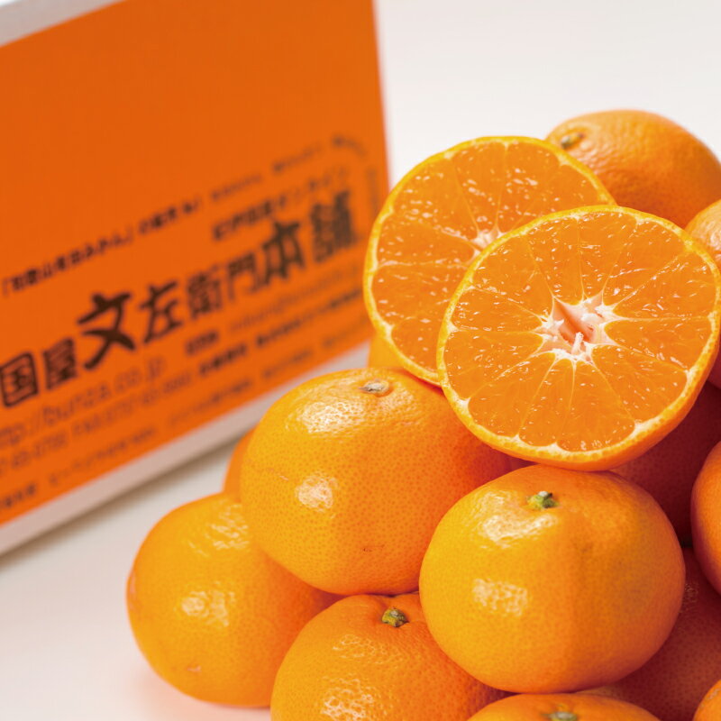 【ふるさと納税】 ブランド有田みかん【L】秀品10kg /産地直送／薄皮で甘い美味しい和歌山県産／紀伊国屋文左衛門本舗 ※2025年11月上旬～2026年1月中旬頃に順次発送（お届け日指定不可）
