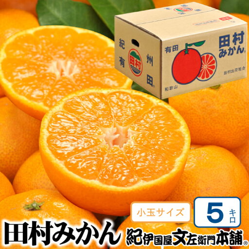 【ふるさと納税】 【予約受付】田村みかん 5kg 秀品【小玉サイズ】/紀州和歌山有田郡湯浅町田村地区産 ◆2025年11月下旬~2026年1月中旬頃に順次発送(お届け日指定不可) 紀伊国屋文左衛門本舗 【ふるさと納税】 【予約受付】田村みかん 5kg 秀品【小玉サイズ】/紀州和歌山有田郡湯浅町田村地区産 ◆2025年11月下旬~2026年1月中旬頃に順次発送(お届け日指定不可) 紀伊国屋文左衛門本舗