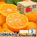 【ふるさと納税】 田村みかん 特選ギフト品 3kg サイズおまかせ 赤秀/紀州和歌山有田郡湯浅町田村地区産 ◆2025年11月下旬~2026年1月中旬頃に順次発送(お届け日指定不可) 紀伊国屋文左衛門本舗(4)