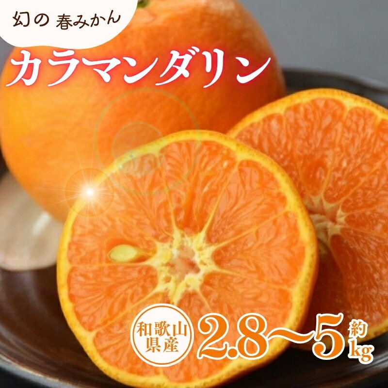 カラマンダリン 約2.8kg 約5kg / サイズおまかせ ※2026年4月上旬〜5月上旬頃に順次発送予定(お届け日指定不可) 紀伊国屋文左衛門本舗