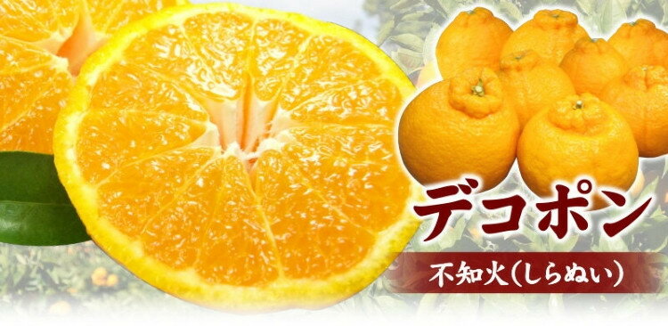 田村産「デコ」不知火[約3kg]湯浅町田村産春みかん(果実サイズおまかせ)/紀伊国屋文左衛門本舗 ※2025年2月中旬〜2025年3月下旬頃に順次発送予定(お届け日指定不可)