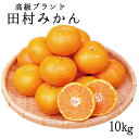 【ふるさと納税】高級ブランド田村みかん10kg【予約】※2024年11月下旬頃〜2025年1月下旬頃に順次発送予定(お届け日指定不可)