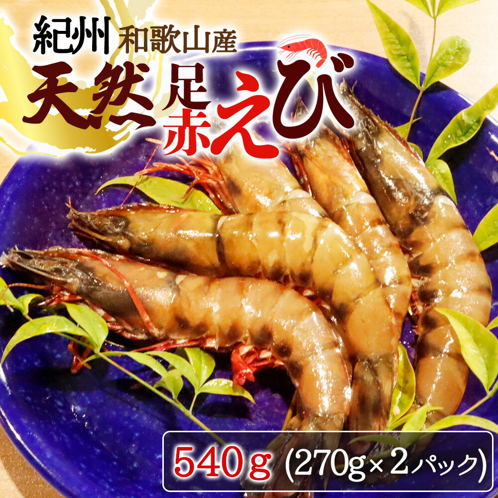 紀州和歌山産天然足赤えび540g(270g×2パック)化粧箱入 ※2024年11月上旬頃〜2025年2月上旬頃順次発送予定(お届け日指定不可)/海老 エビ えび クマエビ 足赤 天然 おかず