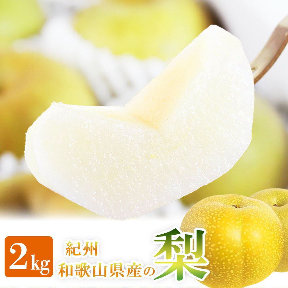【ふるさと納税】 紀州和歌山産の梨 2kg 化粧箱入 ※2025年8月下旬頃〜2025年9月上旬頃に順次発送 ※日付指定不可 梨 なし ナシ 果物 くだもの フルーツ 甘い