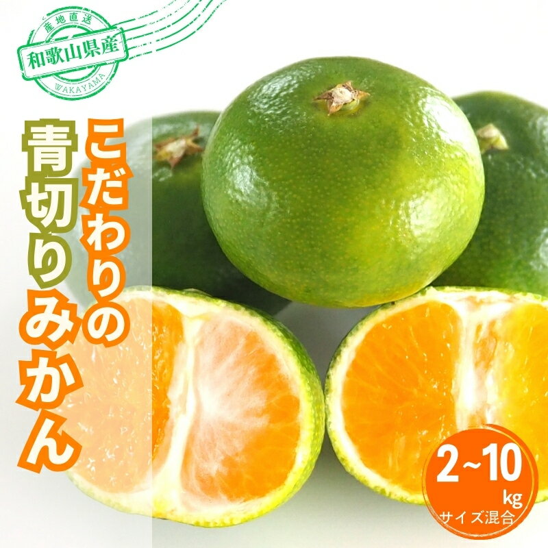 【ふるさと納税】 \光センサー選別/\農家直送/ こだわりの 青切りみかん 約2kg・約4kg・約5kg・7.5kg・10kg 有機質肥料100% ※2025年9月下旬より順次発送予定(お届け日指定不可)
