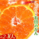 【ふるさと納税】 有田みかん 和歌山県産 甘く濃厚でジューシー!産地直送・有機肥料100%使用【2kg〜10kg/11月・12月発送】 / みかん 温州みかん 蜜柑 柑橘 果物 フルーツ 農家直送 産地直送 送料無料 串本町 和歌山県