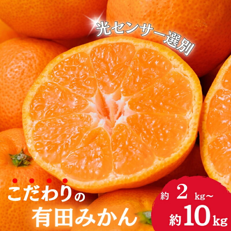 【ふるさと納税】 【先行予約】＼