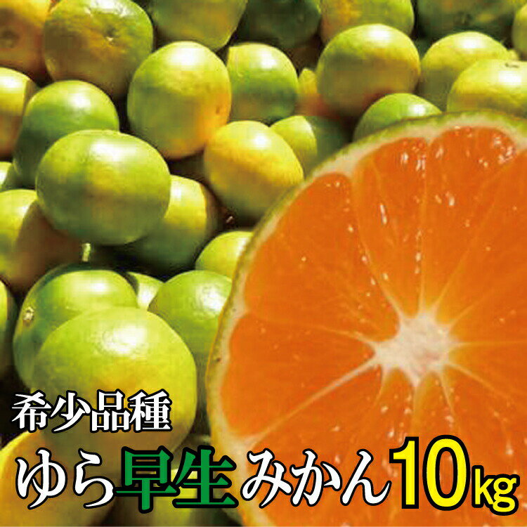 【ふるさと納税】【2022年秋頃発送予約分】＼農家直送／甘くて濃厚！希少品種 ゆら早生みかん　約10kg 有機質肥料100%　※2023年10月末で申込締切　※2023年10月上旬より順次発送予定（お届け日指定不可）のサムネイル