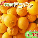 【ふるさと納税】 数量限定 不知火 デコポン ちょこっと 訳あり ご家庭用 選べる 容量 みかん ミカン 果物 わけあり 家庭用 予約 人気 旬 産地直送 送料無料 ※2026年2月中旬より順次発送予定 指定不可