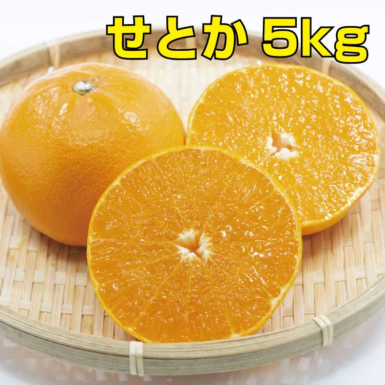【ふるさと納税】 ＼光センサー選別／せとか 約5kg【ご家庭用】 ※2024年2月下旬より順次発送（お届け日指定不可） みかん オレンジのサムネイル