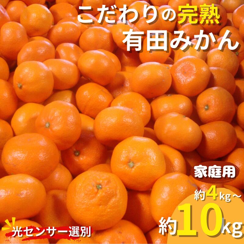 【ふるさと納税】農家直送 【家庭用】こだわりの有田みかん 約10kg 容量・発送時期 選べる【4kg・8kg・10kg / 11月発送・12月発送・2025年1月発送から選べます】（日付指定不可） 有機質肥料100% みかん 甘い 温州みかん 選べる 先行予約 フルーツ 果物 人気