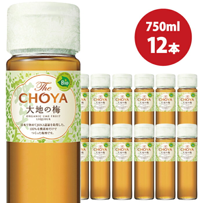 【ふるさと納税】The CHOYA 大地の梅 大地の梅15° 750ml×12本セット　チョーヤ 梅酒 梅 お酒 リキュール