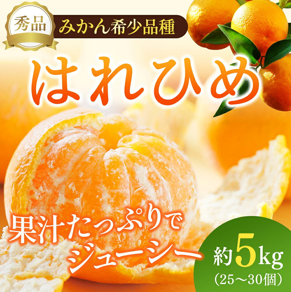 【ふるさと納税】 【先行予約】希少種みかん はれひめ 約5kg(25個〜30個) 秀品 2026年12月中旬～2027年2月初旬頃に順次発送予定（お届け日指定不可）/ 和歌山 みかん はれひめ フルーツ 柑橘 蜜柑 果物 くだもの f304280-kushimoto-10001602 和歌山県串本町 サンプル画像2