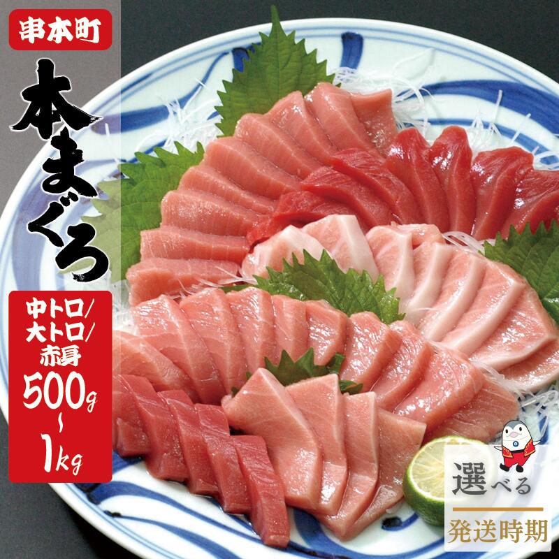 ڤդ뤵ǼǡۡڶĮ̻¼ܥޥܿ˥ȥֿȥå500