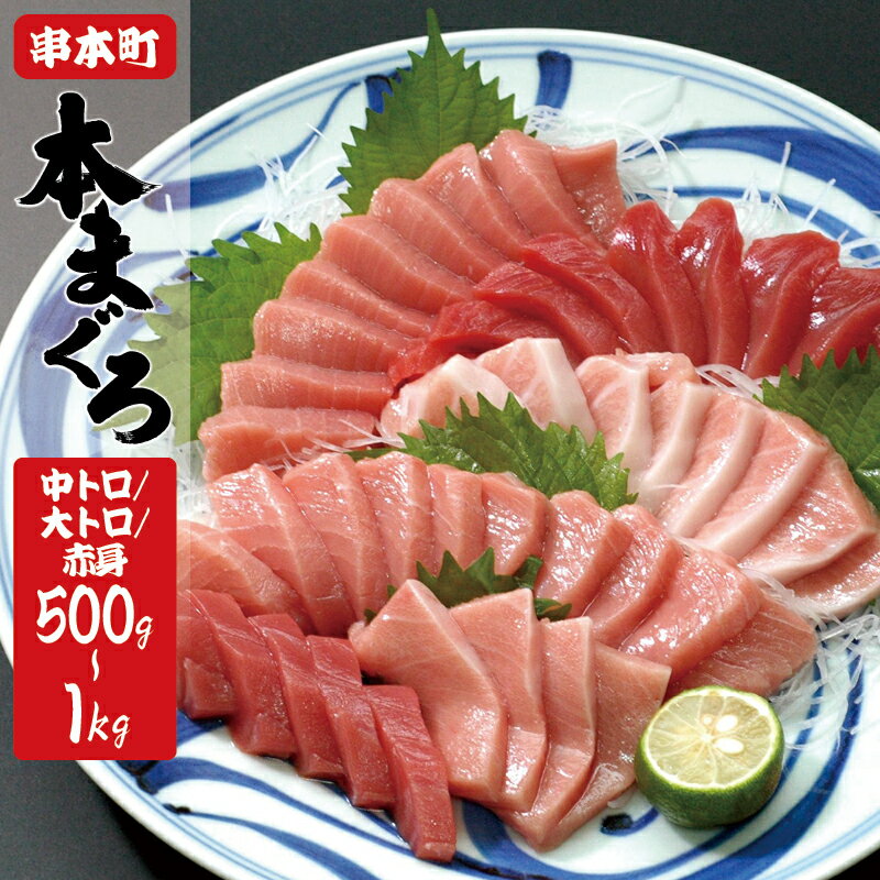 【ふるさと納税】 本マグロ（養殖）トロ＆赤身セット 500g