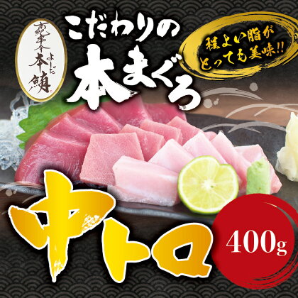 本マグロ 中とろ 400gサク 「プレミア和歌山認定」 和歌山県でも指折りの好漁場で養殖された本鮪！ 南紀串本よしだ本鮪　南紀串本よしだふるさと 納税 和歌山県串本町 和歌山県 和歌山 串本 お取り寄せ お取り寄せグルメ 取り寄せ グルメ 鮪 まぐろ マグロ