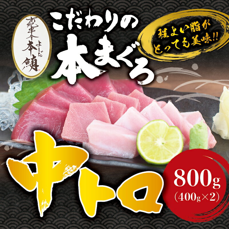 【ふるさと納税】本マグロ 中とろ 800g（400g×2）サク 「プレミア和歌山認定」 和歌山県でも指折りの好漁場で養殖された本鮪です！ 南紀串本よしだ本鮪　南紀串本よしだふるさと 納税 和歌山県串本町 和歌山県 和歌山 串本 取り寄せ グルメ 鮪 まぐろ マグロ