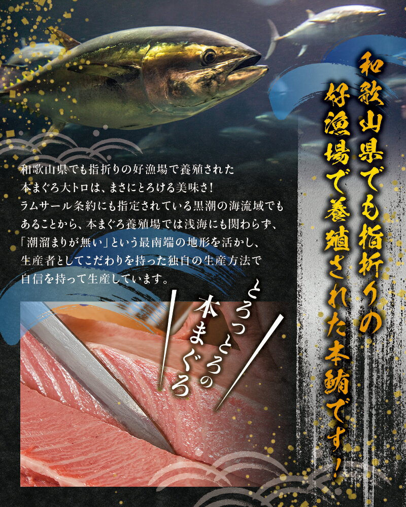 【ふるさと納税】本マグロ 中とろ 400g & 大とろ 200g のセット（サク）「プレミア和歌山認定」 和歌山県でも指折りの好漁場で養殖された本鮪です！ 南紀串本よしだ本鮪　ふるさと 納税 和歌山県串本町 和歌山県 和歌山 串本 鮪 まぐろ マグロ