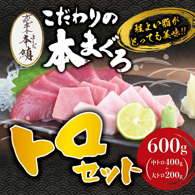 楽天ふるさと納税　【ふるさと納税】本マグロ 中とろ 400g & 大とろ 200g のセット（サク）「プレミア和歌山認定」 和歌山県でも指折りの好漁場で養殖された本鮪です！ 南紀串本よしだ本鮪　ふるさと 納税 和歌山県串本町 和歌山県 和歌山 串本 鮪 まぐろ マグロ