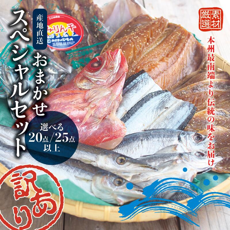 【ふるさと納税】 訳あり たっぷり 20点以上 or 25点