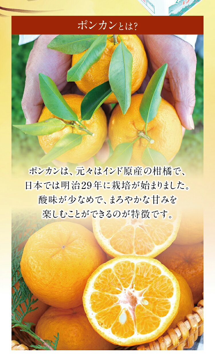 【ふるさと納税】訳あり くしもとポンカン 10kg S・Mサイズ混合 ご家庭用 【2022年12月下旬〜1月下旬発送予定】訳アリ ワケアリ ポンカン 有機肥料 ぽんかん フルーツ 果実 みかん ミカン オレンジ 旬 限定 節減対象農薬不使用 化学肥料不使用