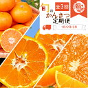 【ふるさと納税】 【3か月定期便】人気のみかんを集めた!旬の柑橘定期【田村みかん・ポンカン・清見オレンジ】