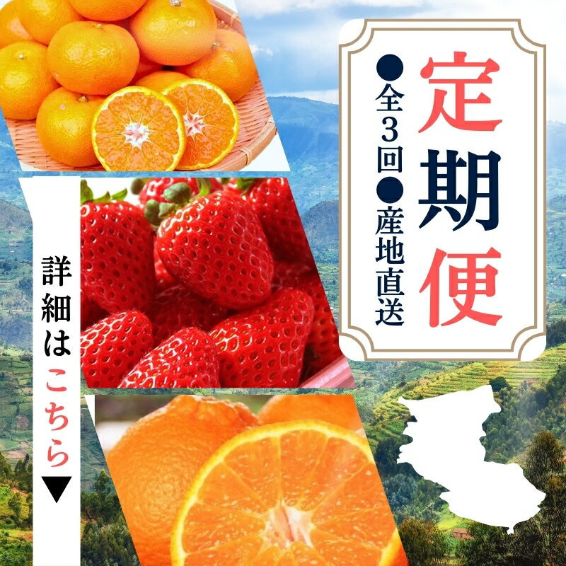 【ふるさと納税】 【定期便】●全3回● 産地直送 定期便【温州みかん・まりひめ・紀州デコ】 / フルーツ 果物 みかん いちご 旬 定期便