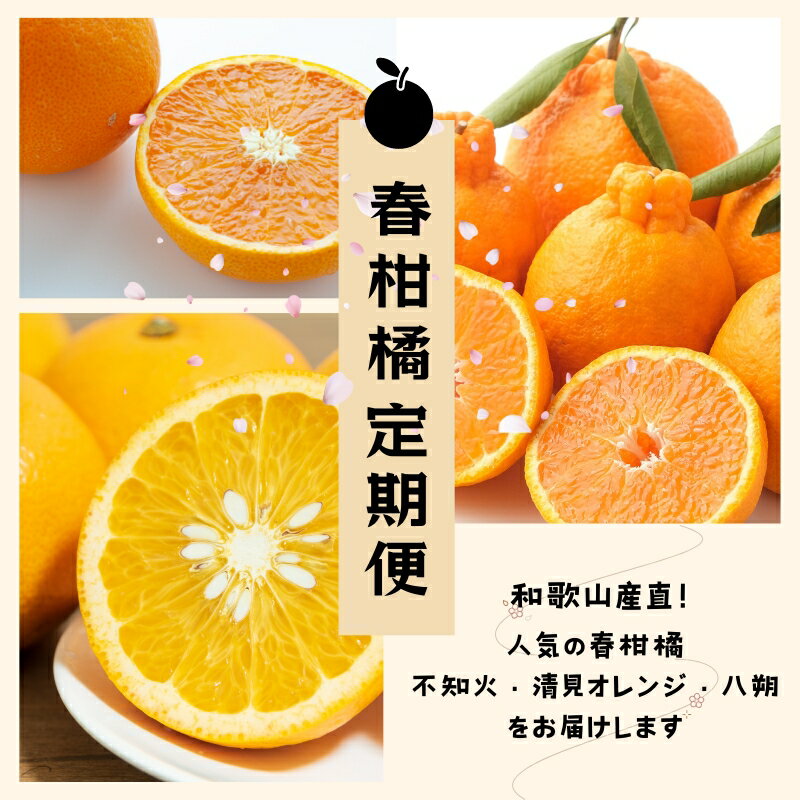 【ふるさと納税】 【3か月定期便】和歌山産直!人気の春柑橘定期便♪ 不知火 清見オレンジ 八朔 / フルーツ 果物 柑橘 みかん オレンジ 旬
