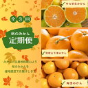 【ふるさと納税】 【3か月定期便】みかんの名産地和歌山発!秋のみかん定期便♪ ゆら早生みかん 下津みかん 有田みかん / フルーツ 果物 柑橘 蜜柑 ミカン みかん 温州みかん 旬(4)