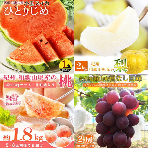 【全4回】紀州和歌山産旬のフルーツ定期便 (スイカ・桃・巨峰・梨) / すいか スイカ もも 桃 白桃 巨峰 葡萄 ぶどう なし 梨 ナシ 洋ナシ 和梨 果物 くだもの フルーツ フルーツ定期便 和歌山【tkb422】 【全4回】紀州和歌山産旬のフルーツ定期便 (スイカ・桃・巨峰・梨) / すいか スイカ もも 桃 白桃 巨峰 葡萄 ぶどう なし 梨 ナシ 洋ナシ 和梨 果物 くだもの フルーツ フルーツ定期便 和歌山【tkb422】