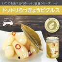 【ふるさと納税】SwanceNo,1 トットリらっきょうピク...