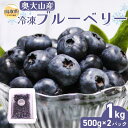【ふるさと納税】B24-208 奥大山産冷凍ブルーベリー500g×2パック 鳥取県 おすすめ 大山 だいせん 奥大山 おくだいせん ブルーベリー 冷凍(4)