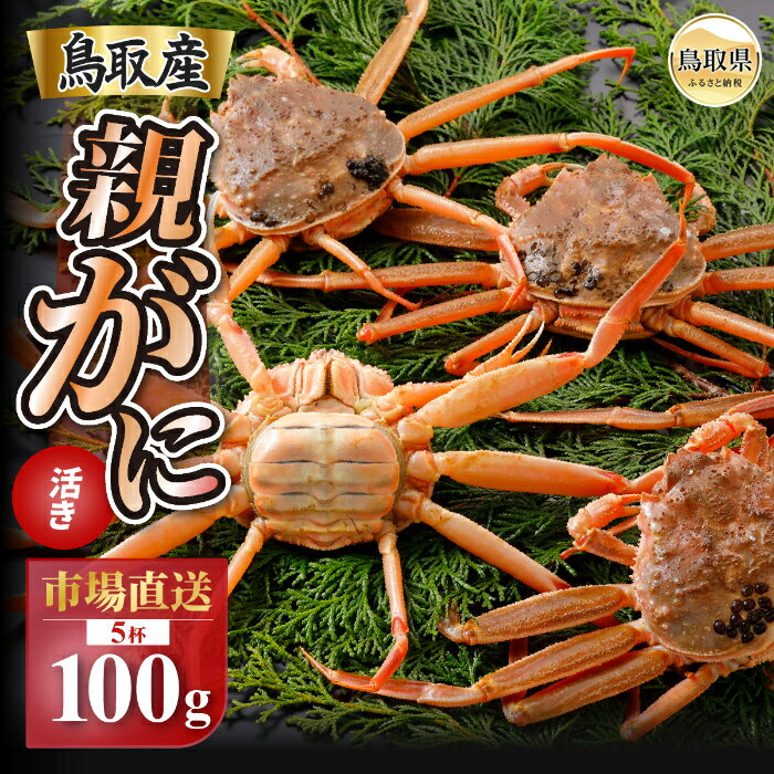【ふるさと納税】B25-054 【2025年11月発送】鳥取県産 特撰 親がに 姿【セコガニ】(なま)【訳あり】100g 5杯