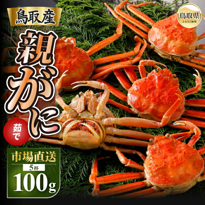 【ふるさと納税】B25-055 【2025年11月発送】鳥取県産 特撰 親がに 姿【セコガニ】(茹)【訳あり】100g 5杯