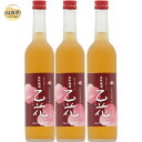 【ふるさと納税】B25-029 鳥取県の美味しい酒 梅酒 乙花(おとか) 3本セット(4)