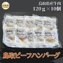 【ふるさと納税】A25-012 鳥取ビーフハンバーグ 120g×10個 鳥取県 おすすめ 牛肉 国産牛