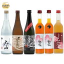 【ふるさと納税】C25-016 鳥取県の美味しい酒 焼酎・梅酒 6本セット