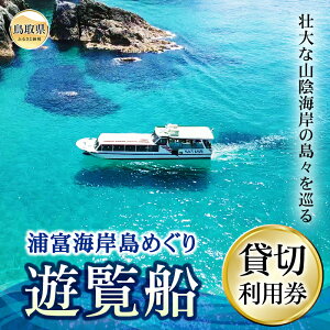 【ふるさと納税】F25-006 浦富海岸島めぐり遊覧船 貸切利用券 鳥取県 おすすめ 山陰海岸 ジオパーク 遊覧船貸切 島めぐり クルーズ