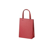 【ふるさと納税】A21-176 [PATTA] BAG A5 TATE＜RED＞