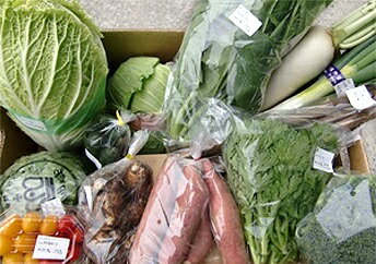【ふるさと納税】A22-109 新鮮野菜の詰め合わせ