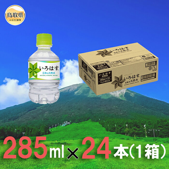 大山天然水285ml 1箱