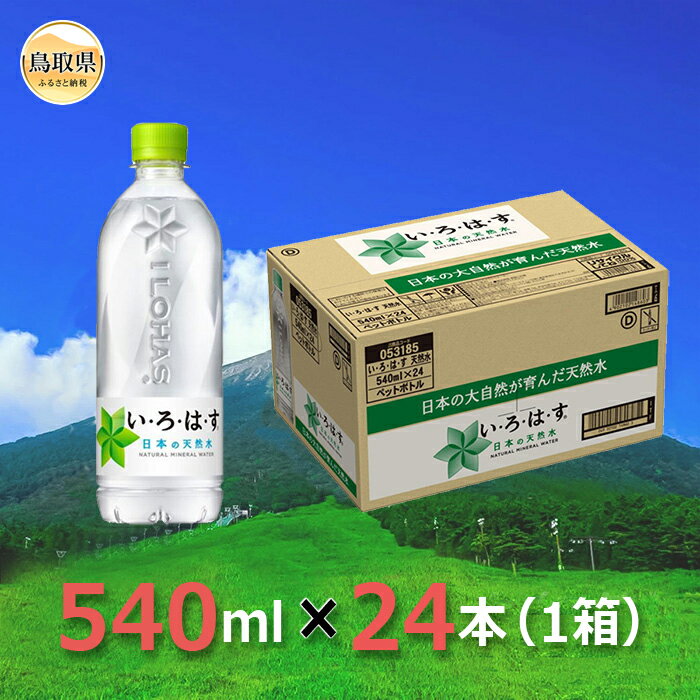 大山天然水540ml 1箱