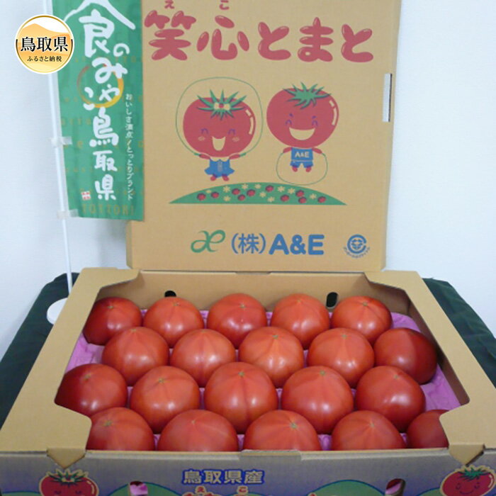 4位! 口コミ数「0件」評価「0」A24-032 鳥取県産「笑心とまと」【期間・数量限定】