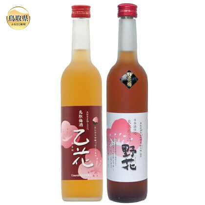 A24-050 鳥取県の美味しい酒　梅酒　2本セットB