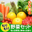 【ふるさと納税】A24-024 もりもり野菜セット 鳥取県 おすすめ 旬野菜 鳥取野菜 旬野菜セット 人気野菜