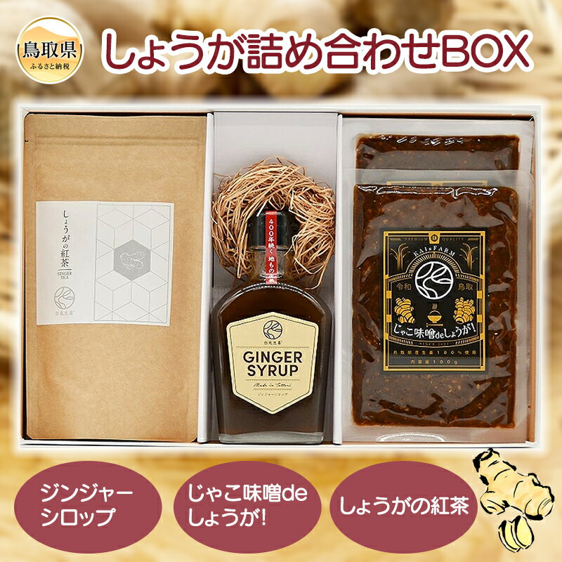 【ふるさと納税】A24-307 しょうが詰め合わせBOX 鳥取県 おすすめ しょうが ジンジャーシロップ じゃこ味噌 しょうが紅茶