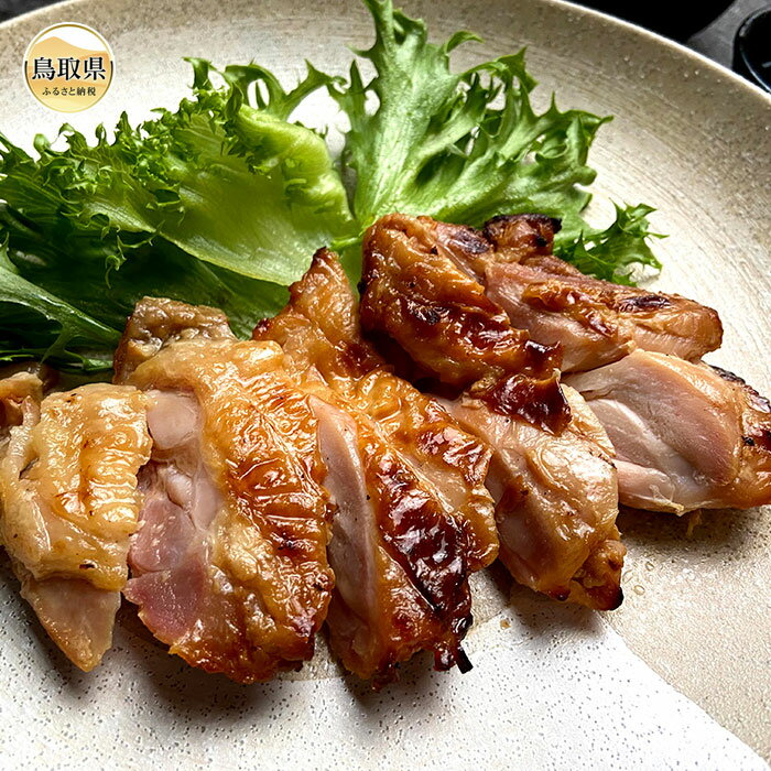 鳥取のチキンステーキ(塩こうじ)と焼鳥セット 鳥取県 おすすめ チキンステーキ 焼鳥盛合せ もも ももねぎま 身皮 砂肝 鳥取県産
