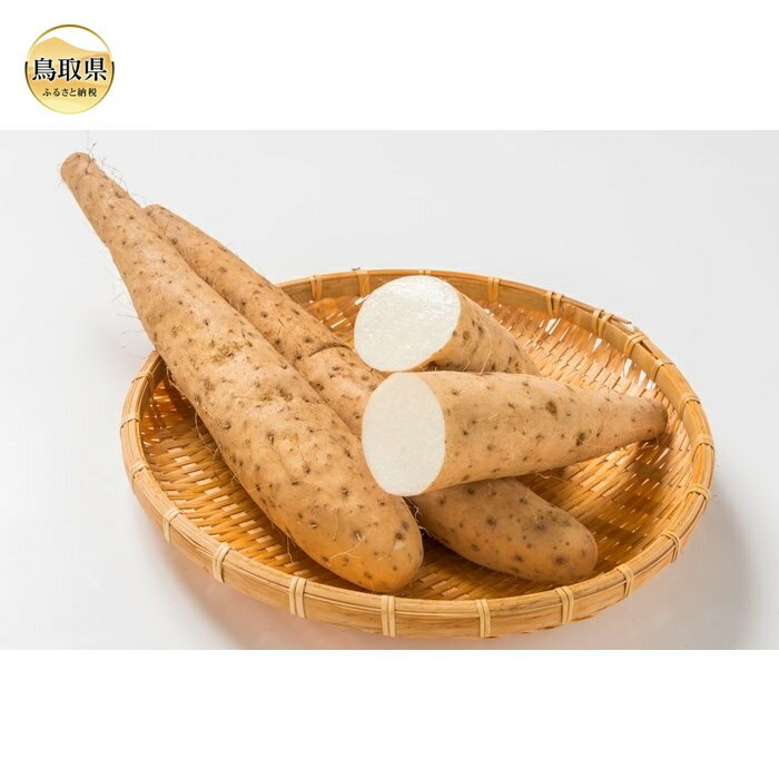 ڤդ뤵ǼǡA24-341 Ļ躽Ĺ2.5kgڿ̸